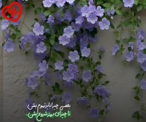کاور آهنگ من غریب دریا نشسته اینجا به انتظارت از معین به همراه متن ترانه اثر معین
