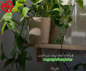 کاور آهنگ ترکم نکن من بی تو بیمارم از معین به همراه متن ترانه اثر معین