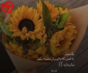 کاور آهنگ تو مکه ی عشقی و من از معین به همراه متن ترانه اثر معین