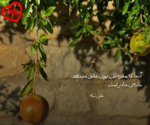 دانلود آهنگ آهنگ  معین زد سرگردونم از Moein Z به همراه متن ترانه
