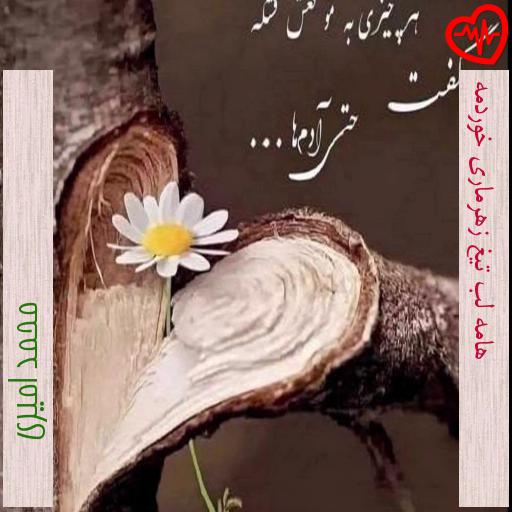 آهنگ هامه لب تیغ زهرماری خوردمه از محمد امیری به همراه متن ترانه آهنگ هامه لب تیغ زهرماری خوردمه از محمد امیری به همراه متن ترانه