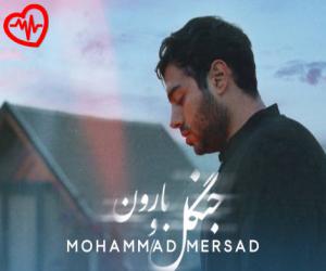 دانلود آهنگ آهنگ جنگل و بارون از محمد مرصاد به همراه متن ترانه - کاور اصلی