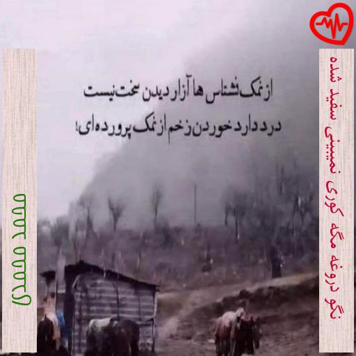 آهنگ نگو دروغه مگه کوری نمیبینی سفید شده از محمد محمدی به همراه متن ترانه آهنگ نگو دروغه مگه کوری نمیبینی سفید شده از محمد محمدی به همراه متن ترانه