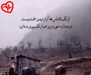 دانلود آهنگ آهنگ شقیقه از محمد محمدی به همراه متن ترانه