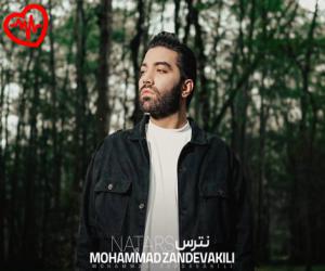 کاور آهنگ نترس از محمد زندوکیلی به همراه متن ترانه اثر محمد زندوکیلی