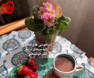 دانلود آهنگ آهنگ بی همگان به سر شود از محمدرضا شجریان به همراه متن ترانه
