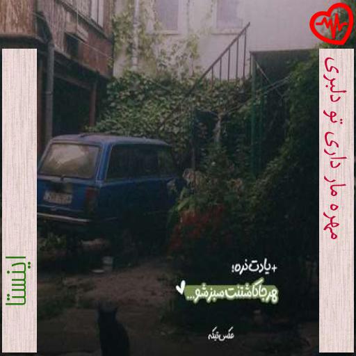 آهنگ مهره مار داری تو دلبری از اینستا به همراه متن ترانه آهنگ مهره مار داری تو دلبری از اینستا به همراه متن ترانه