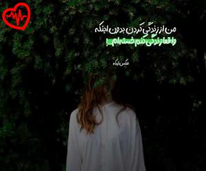 کاور آهنگ  محسن یگانه تو خوب از Mohsen Yeganeh به همراه متن ترانه اثر Mohsen Yeganeh