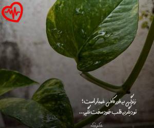 دانلود آهنگ آهنگ لیلاو لیلاو لیلایه لیلا بنامانایه از محسن چاوشی و حسن زیرک به همراه متن ترانه - کاور اصلی