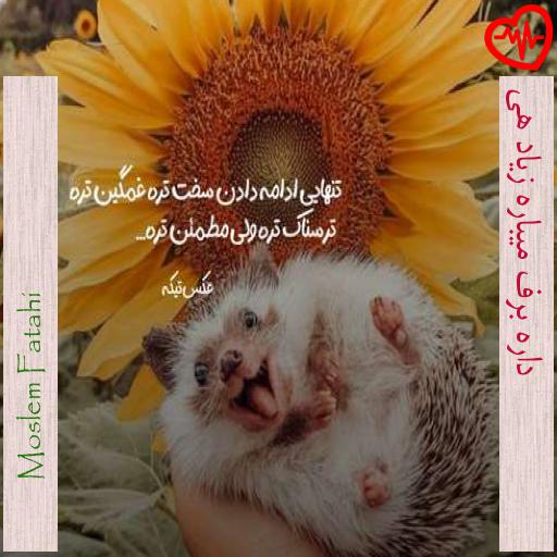 آهنگ داره برف میباره زیاد هی از Moslem Fatahi به همراه متن ترانه آهنگ داره برف میباره زیاد هی از Moslem Fatahi به همراه متن ترانه