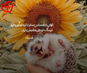 دانلود آهنگ آهنگ  داره برف میباره زیاد هی از Moslem Fatahi به همراه متن ترانه - کاور اصلی