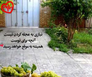 دانلود آهنگ آهنگ متاسفانه اینو یاد گرفتم نخندم حتی بعد اینکه فاز گرفتم با یه جک از یاس به همراه متن ترانه - کاور اصلی