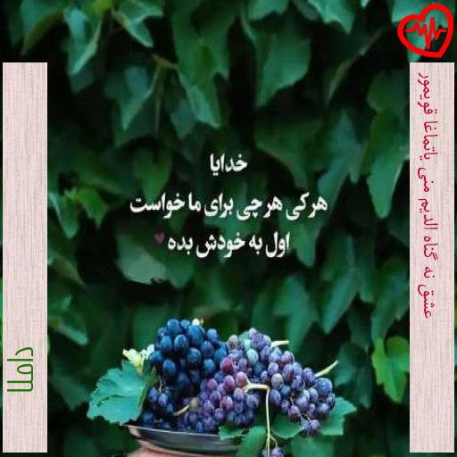 آهنگ عشق نه گناه الدیم منی یاتماغا قویمور از داملا به همراه متن ترانه