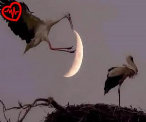 کاور آهنگ  نداشتی جنبه آخر شکوندی دلمو سنگدل از Nadashti Janbe Akhar به همراه متن ترانه اثر Nadashti Janbe Akhar