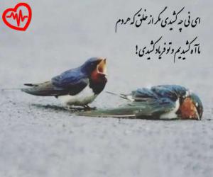 دانلود آهنگ آهنگ ناجی قلبم از هایده به همراه متن ترانه - کاور اصلی