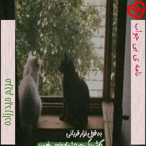 آهنگ نامه ی بی جواب از مریم حیدرزاده به همراه متن ترانه آهنگ نامه ی بی جواب از مریم حیدرزاده به همراه متن ترانه