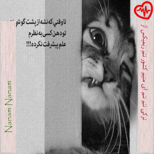 آهنگ ترکی ننم ننم ای منیم کشور ننم ریمیکس از از Nanam Nanam به همراه متن ترانه آهنگ ترکی ننم ننم ای منیم کشور ننم ریمیکس از از Nanam Nanam به همراه متن ترانه