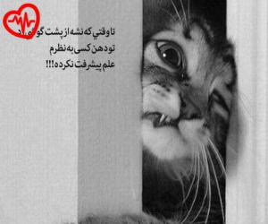 کاور آهنگ  ترکی ننم ننم ای منیم کشور ننم ریمیکس از از Nanam Nanam  به همراه متن ترانه اثر Nanam Nanam 