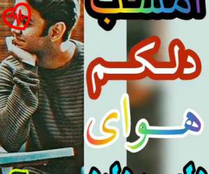 کاور آهنگ امشب دلکم هوای دلبر دارد از نسیم گل به همراه متن ترانه اثر نسیم گل