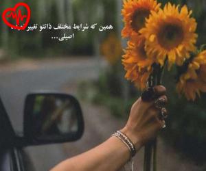 کاور آهنگ نوایی از مهستی به همراه متن ترانه اثر مهستی
