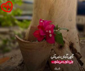کاور آهنگ تو چقدر خوبی عزيزم از هنگامه به همراه متن ترانه اثر هنگامه