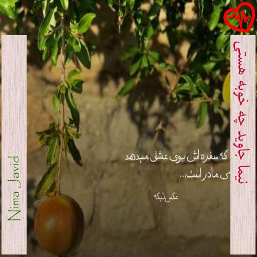 آهنگ نیما جاوید چه خوبه هستی از Nima Javid به همراه متن ترانه آهنگ نیما جاوید چه خوبه هستی از Nima Javid به همراه متن ترانه