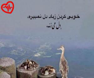 دانلود آهنگ آهنگ دوست دارم از نیواد به همراه متن ترانه