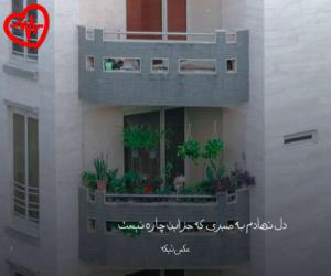 دانلود آهنگ آهنگ حالا ببین کل شهر دنبالتن تو خوابتم دوباره من از پایا موسوی به همراه متن ترانه - کاور اصلی