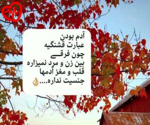 کاور آهنگ پدر عشقو عاشقی بسوزه از روحپرور به همراه متن ترانه اثر روحپرور