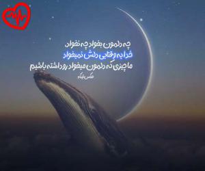 دانلود آهنگ آهنگ  پوری بالام از Poori به همراه متن ترانه