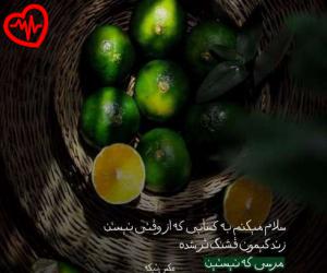کاور آهنگ  پزتو هی میدم پیش همه میگم این دیوونه هوش مصنوعی از Pozeto Hey Midam به همراه متن ترانه اثر Pozeto Hey Midam