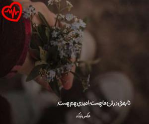 دانلود آهنگ آهنگ خاموش از غلامحسین بنان به همراه متن ترانه