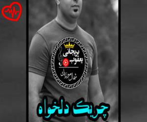 کاور آهنگ های جنگه جنگه جنگه دسته به تفنگه از رامین نبی پور به همراه متن ترانه اثر رامین نبی پور