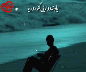کاور آهنگ ردپا از رضا کرمی تارا به همراه متن ترانه اثر رضا کرمی تارا