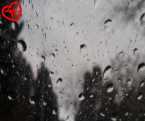 کاور آهنگ کافیه بشینم پای تلفن فایلتو باز کنم بگم بده رنگ ریمیکس از رضا پیشرو به همراه متن ترانه اثر رضا پیشرو