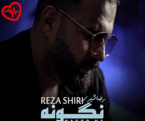 دانلود آهنگ آهنگ نگو نه از رضا شیری به همراه متن ترانه - کاور اصلی