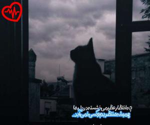 دانلود آهنگ آهنگ  رو آرزوهام خالی کردی خشاب ببین من هنوزم از Ro Arezoham Khali به همراه متن ترانه - کاور اصلی