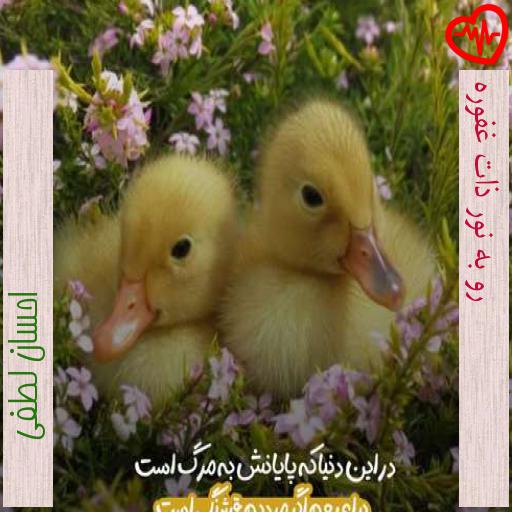 آهنگ رو به نور ذات غفوره از احسان لطفی به همراه متن ترانه آهنگ رو به نور ذات غفوره از احسان لطفی به همراه متن ترانه