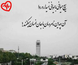 دانلود آهنگ آهنگ رو هر دستی یه دستی هست از شاهین نجفی به همراه متن ترانه