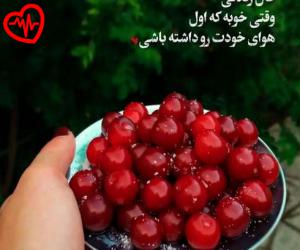 دانلود آهنگ آهنگ ای بی پلنه آی بری باخ بری باخ ریمیکس از منصور از ریمیکس به همراه متن ترانه