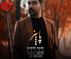 کاور آهنگ پاییز از سعید نامی به همراه متن ترانه اثر سعید نامی