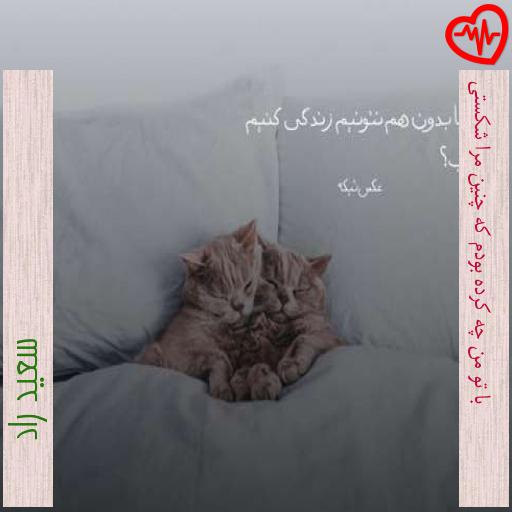 آهنگ با تو من چه کرده بودم که چنین مرا شکستی از سعید راد به همراه متن ترانه آهنگ با تو من چه کرده بودم که چنین مرا شکستی از سعید راد به همراه متن ترانه