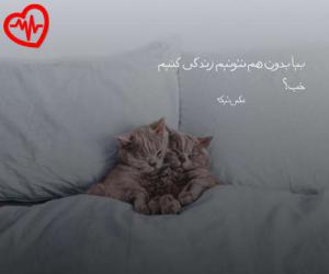 دانلود آهنگ آهنگ با تو من چه کرده بودم که چنین مرا شکستی از سعید راد به همراه متن ترانه - کاور اصلی