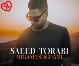 دانلود آهنگ آهنگ میگم عشقمی از سعید ترابی به همراه متن ترانه - کاور اصلی