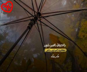 کاور آهنگ  شلال می خرمایی از Saeid Hosseini به همراه متن ترانه اثر Saeid Hosseini