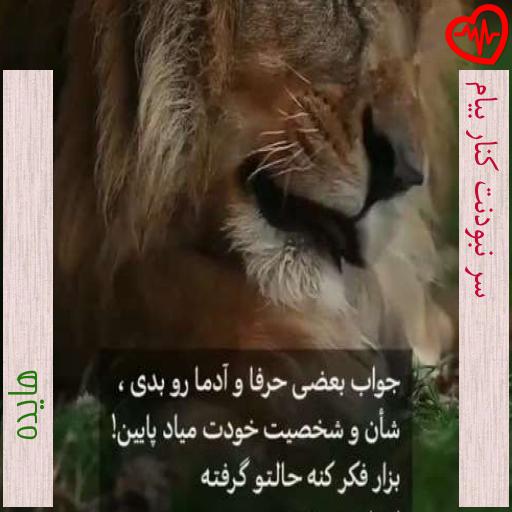 آهنگ سر نبودنت کنار بیام از هایده به همراه متن ترانه آهنگ سر نبودنت کنار بیام از هایده به همراه متن ترانه