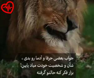 کاور آهنگ سر نبودنت کنار بیام از هایده به همراه متن ترانه اثر هایده