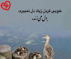 کاور آهنگ من در پی اش کو به کو افتادم از صدای زن به همراه متن ترانه اثر صدای زن