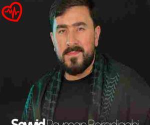 دانلود آهنگ آهنگ وصیعت از سید پیمان برادیگاهی به همراه متن ترانه - کاور اصلی