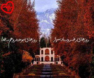 دانلود آهنگ آهنگ همگی بگید هلی هلی تو یه جادوگری هلی هلی دلارو میبری هلی هلی از شاد به همراه متن ترانه - کاور اصلی